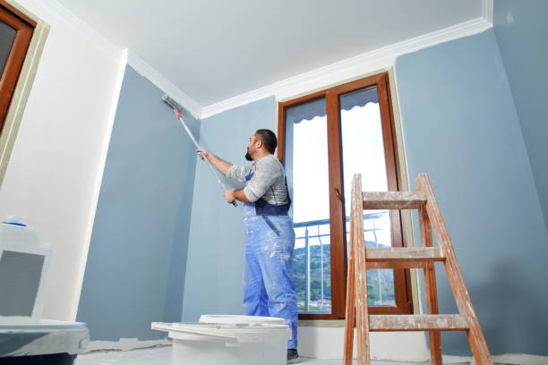 Best Drywall Repair  in USA